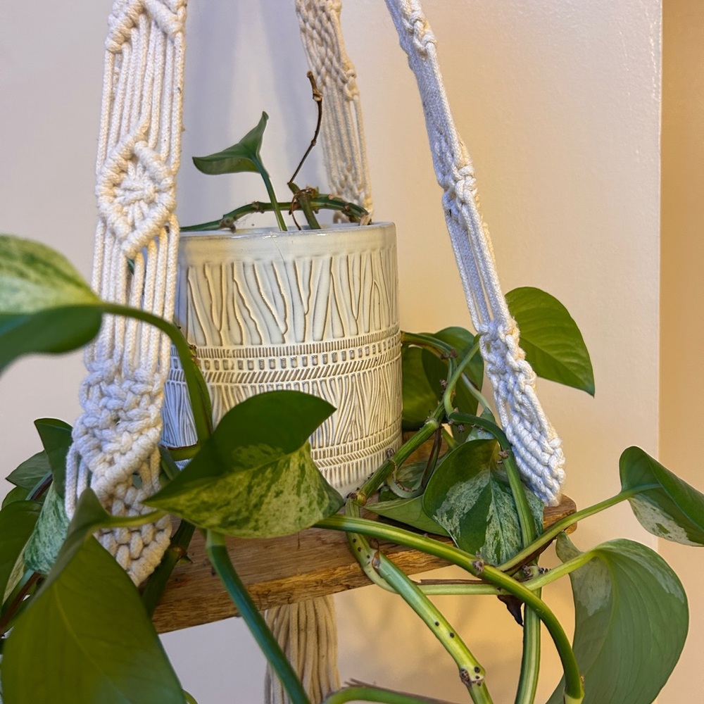 Macramé Hanging Plant Holder